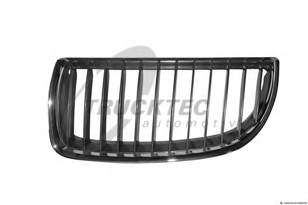 Grila radiator