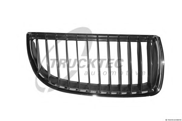 Grila radiator