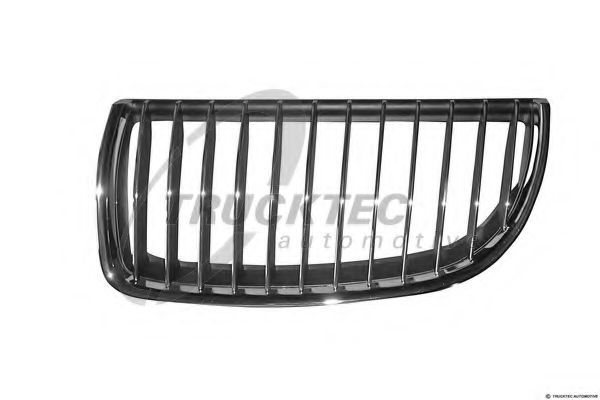 Grila radiator