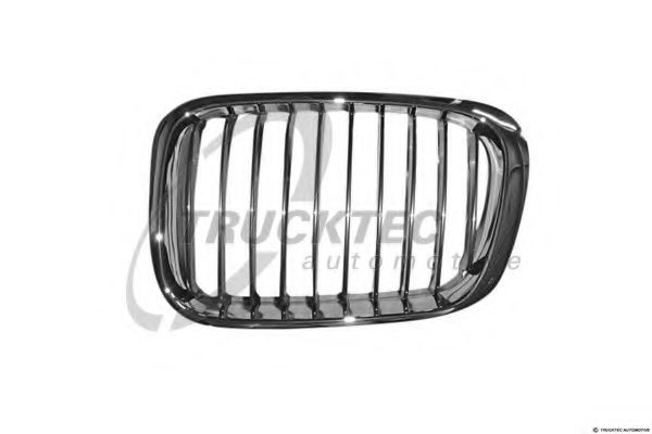 Grila radiator