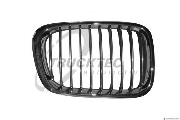 Grila radiator