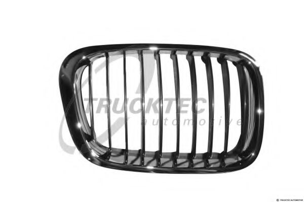Grila radiator