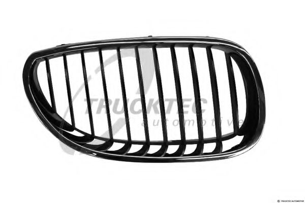 Grila radiator