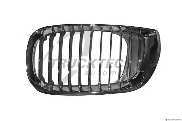 Grila radiator