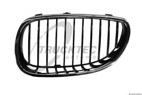 Grila radiator