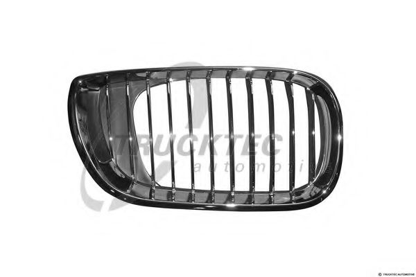 Grila radiator