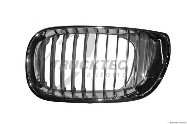 Grila radiator