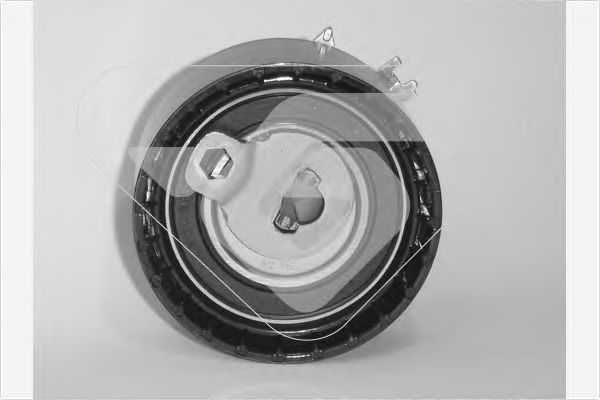 rola intinzator,curea distributie