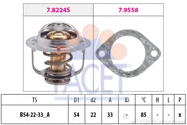 termostat,lichid racire