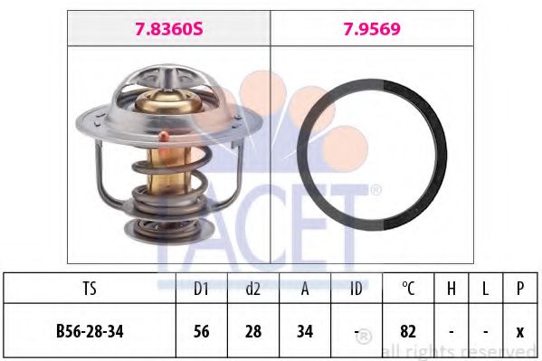 termostat,lichid racire