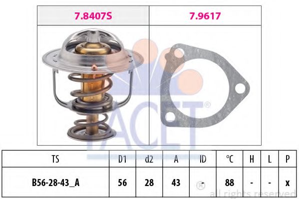 termostat,lichid racire