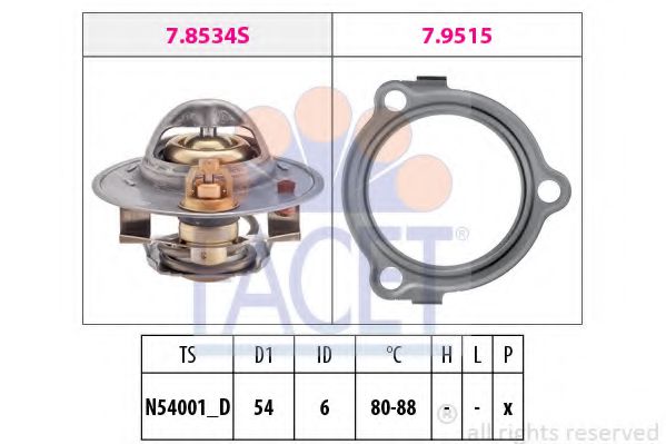 termostat,lichid racire