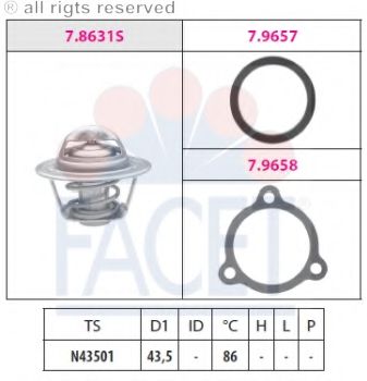 termostat,lichid racire