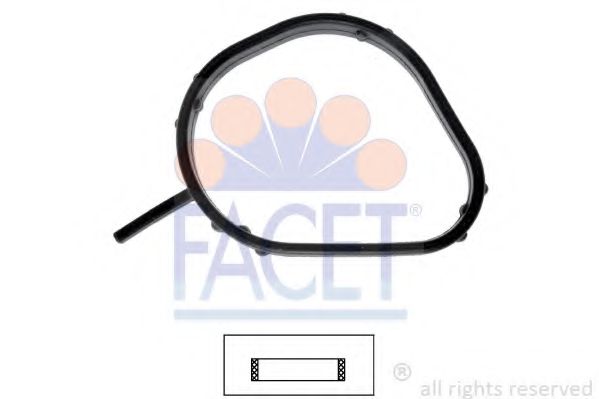 Garnitura termostat