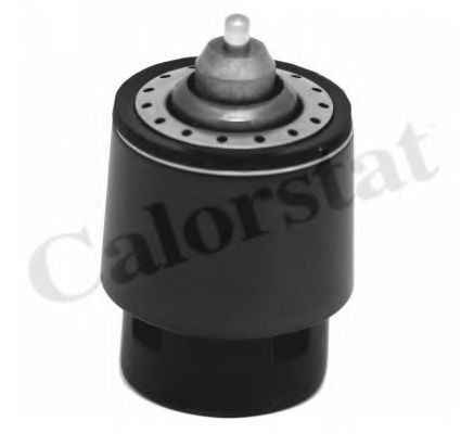 termostat,lichid racire