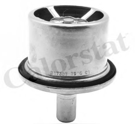termostat,lichid racire