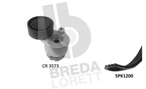 Set curea transmisie cu caneluri