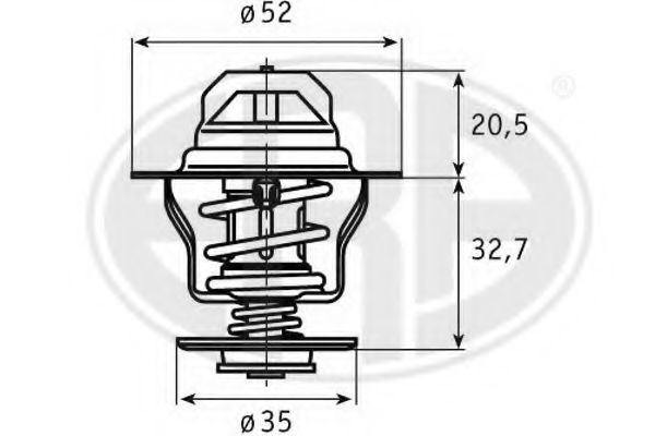 termostat,lichid racire