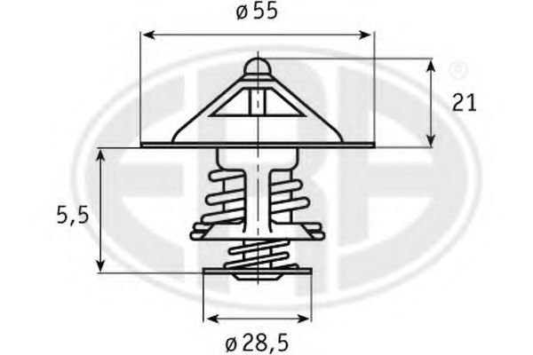 termostat,lichid racire