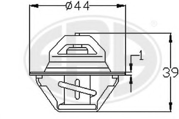 termostat,lichid racire