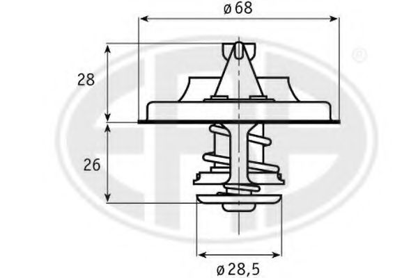 termostat,lichid racire