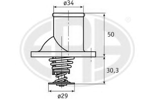 termostat,lichid racire