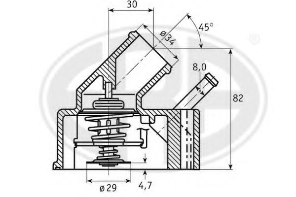 termostat,lichid racire