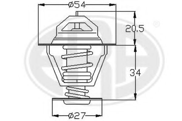 termostat,lichid racire