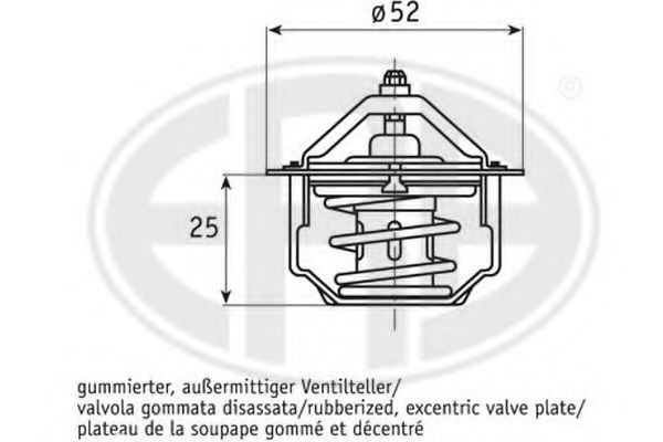 termostat,lichid racire