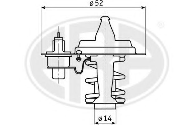 termostat,lichid racire