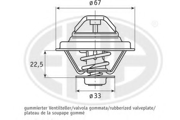 termostat,lichid racire