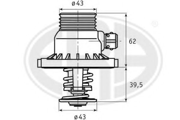 termostat,lichid racire