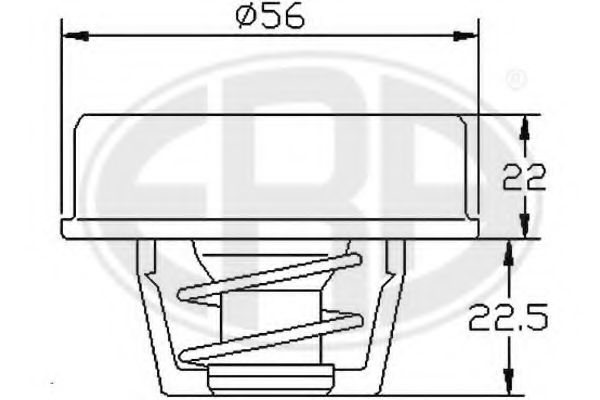 termostat,lichid racire