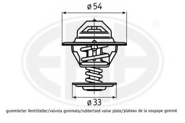 termostat,lichid racire