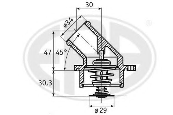 termostat,lichid racire