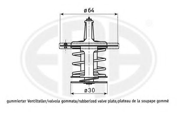 termostat,lichid racire