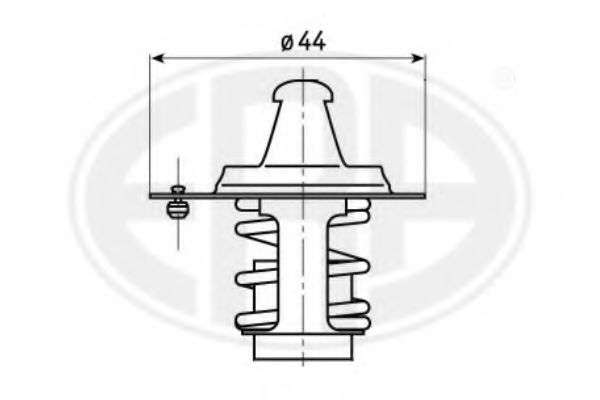 termostat,lichid racire