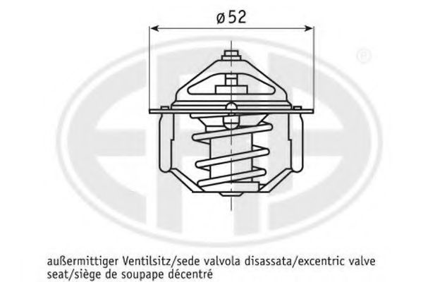 termostat,lichid racire