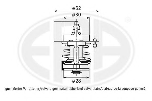 termostat,lichid racire