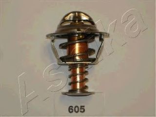 termostat,lichid racire