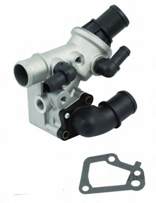 termostat,lichid racire