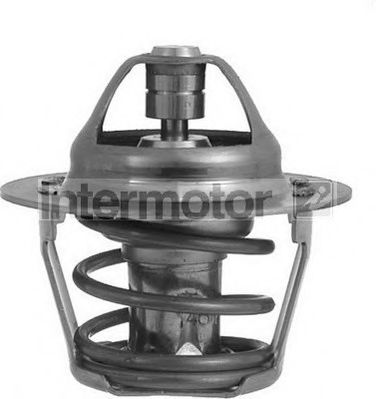 termostat,lichid racire