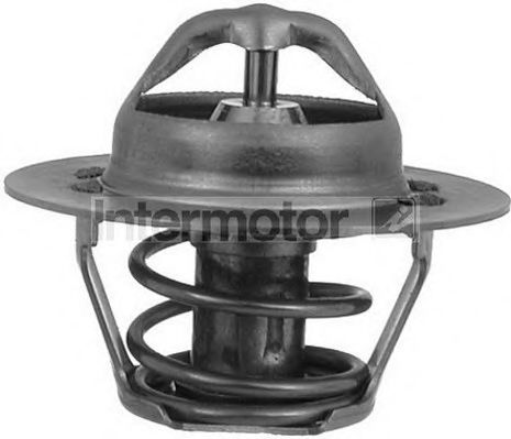 termostat,lichid racire