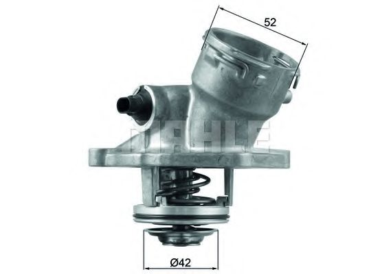 termostat,lichid racire
