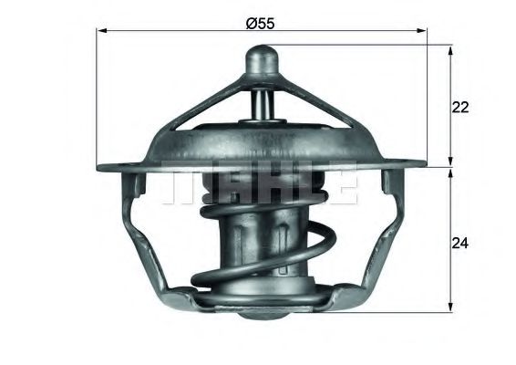 termostat,lichid racire