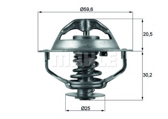 termostat,lichid racire