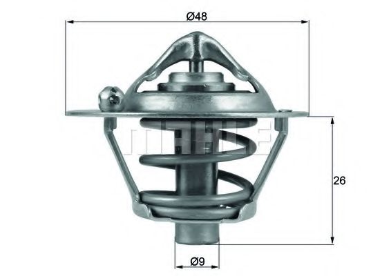 termostat,lichid racire