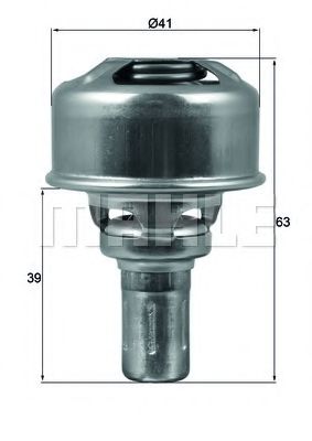 termostat,lichid racire