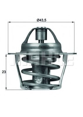 termostat,lichid racire