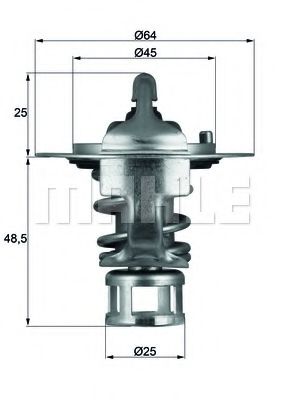 termostat,lichid racire